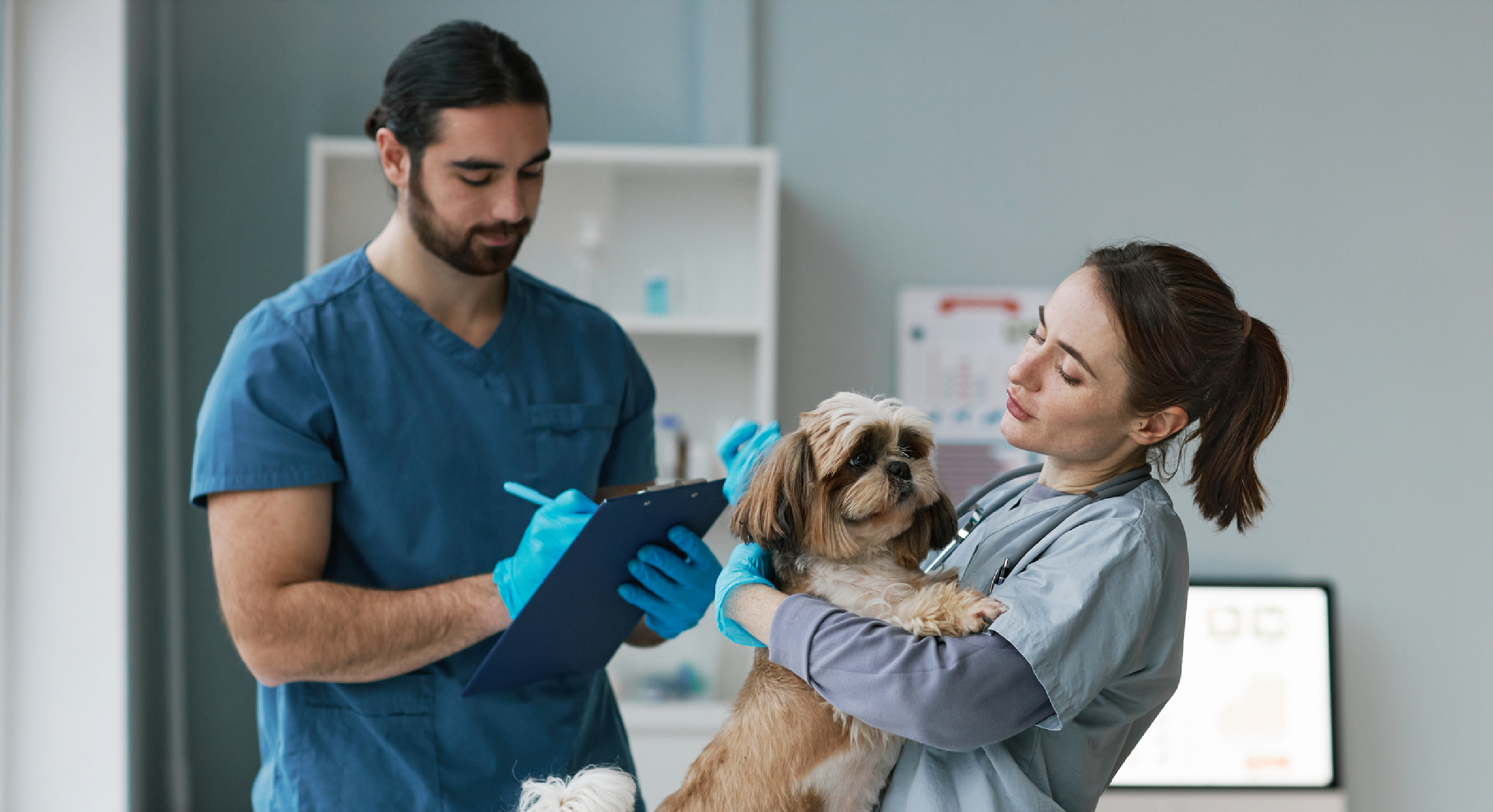 Veterinary Health Care Assistant  graduates working in 
	Veterinary Assistants, 
	Shelter Assistants, 
	Animal Care Assistants, 
	Pet Care Assistants, 

